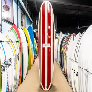 Roger Hinds Renaissance PU/Poly 9'6